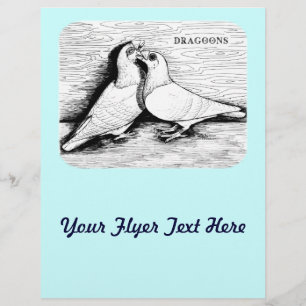 Flyer Dragoon Pigeons White Pair