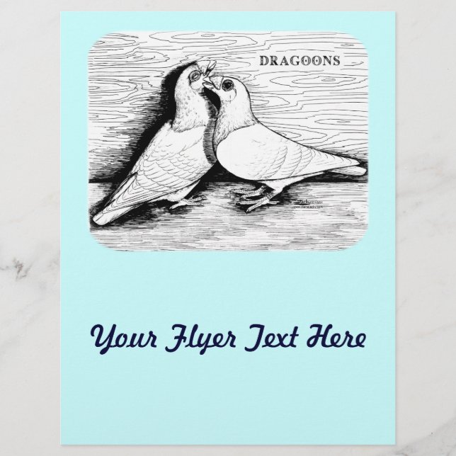 Flyer Dragoon Pigeons White Pair (Frente)