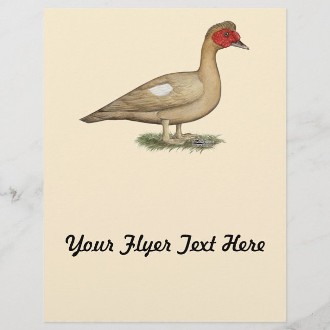 Flyer Drake de chocolate ligero para hongos (Frente)