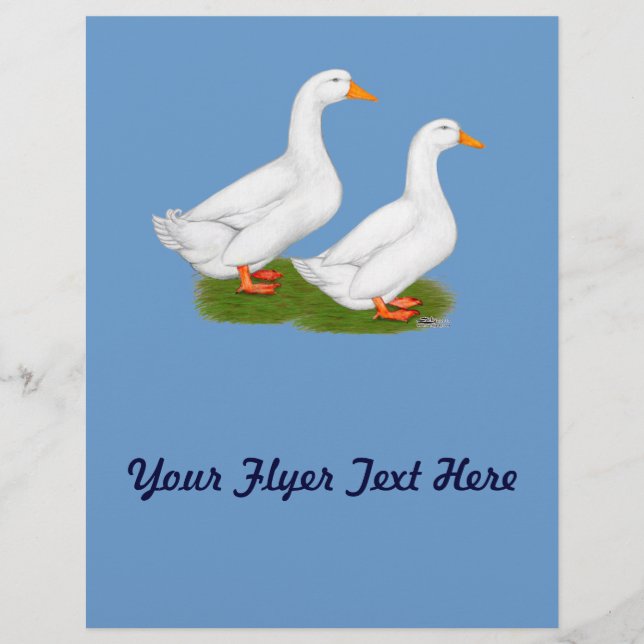 Flyer Ducks:  White Pekins (Frente)
