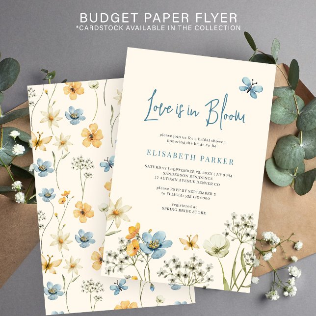 Flyer El amor presupuestal en la invitación a la ducha d (Subido por el creador)