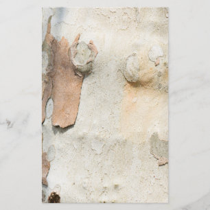 Flyer El camuflaje del árbol del avión parece un patrón 