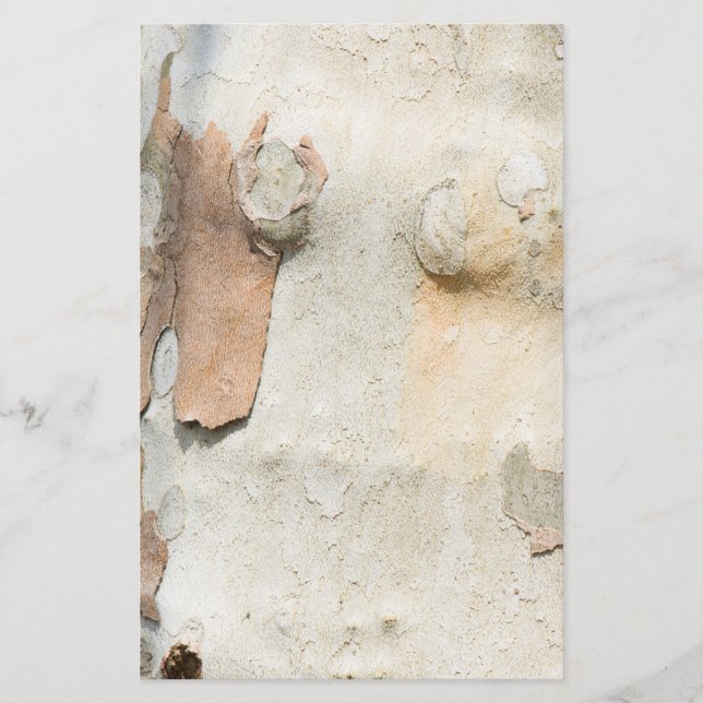 Flyer El camuflaje del árbol del avión parece un patrón  (Frente)