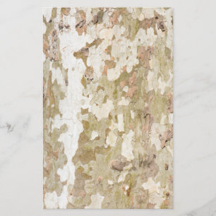 Flyer El camuflaje del árbol del avión parece un patrón 