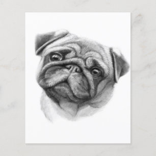 Flyer El retrato del Pug   Cara de perro Pug linda