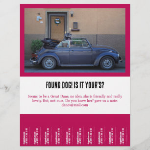 Flyer encontró un amigo furtivo