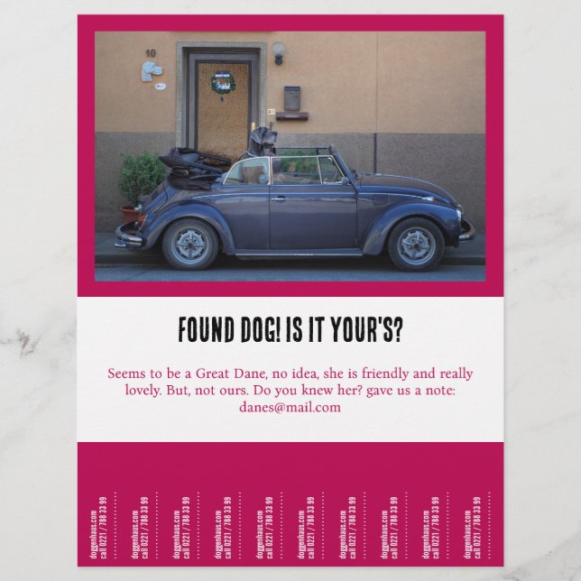 Flyer encontró un amigo furtivo (Frente)