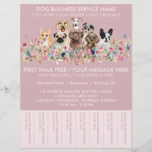 Flyer Entradas económicas para paseador de perros de raz