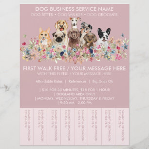 Flyer Entradas presupuestarias de Rubor Pink Breve Dog W
