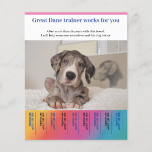Flyer Entrenador de Gran Danés