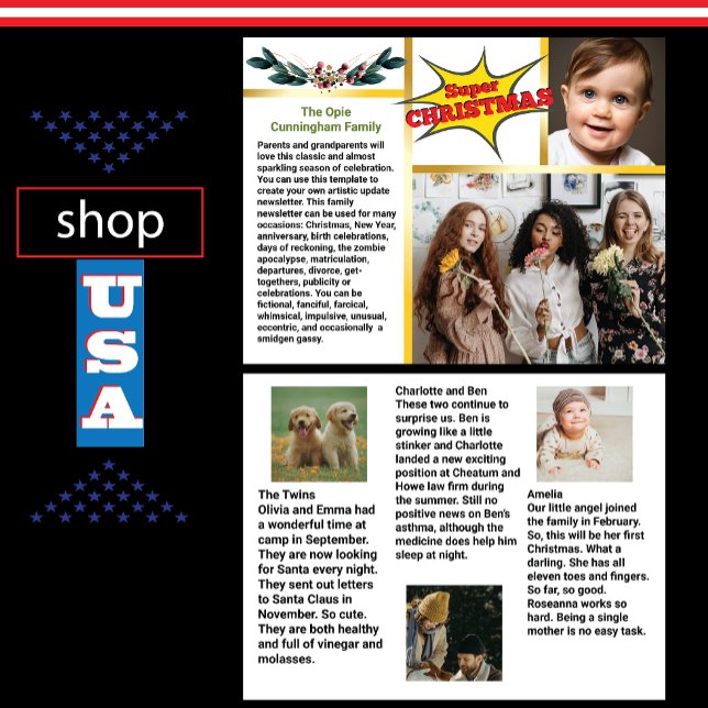 Flyer Epic Family Update Newsletter Navidades Fun Times (Subido por el creador)