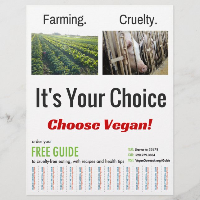 Flyer Es tu elección (Frente)