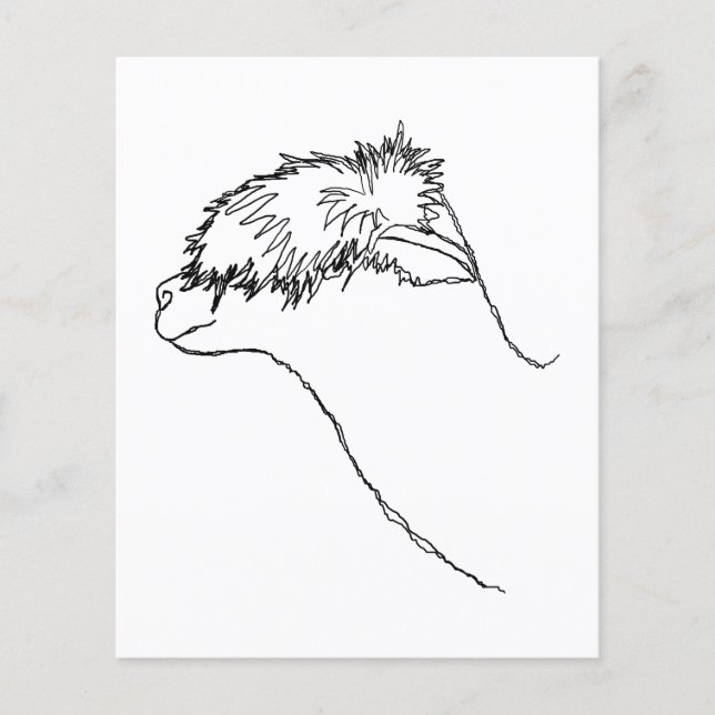 Flyer Esbozo alpaca. (Frente)