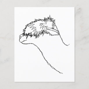 Flyer Esbozo alpaca.