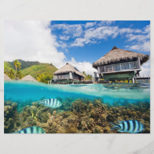 Flyer Estación de SPA