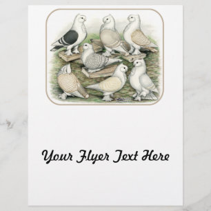 Flyer Estacionamientos clásicos de cerdos