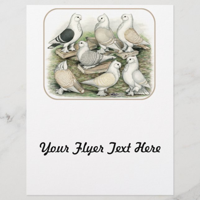 Flyer Estacionamientos clásicos de cerdos (Frente)