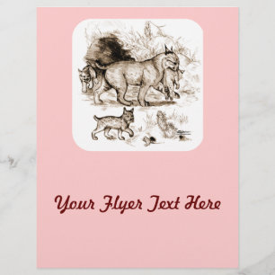 Flyer Familia Bobcat