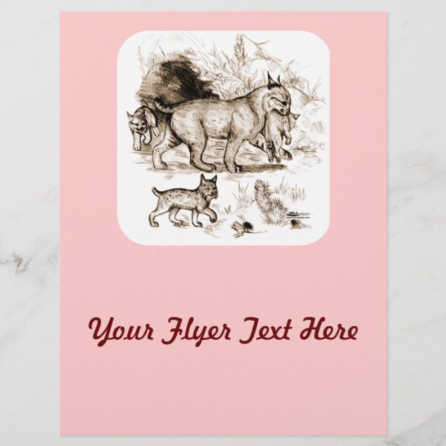 Flyer Familia Bobcat (Frente)