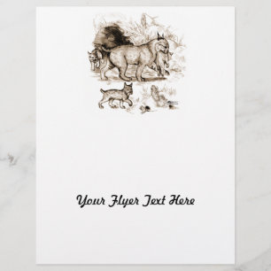 Flyer Familia Bobcat