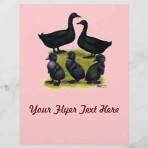 Flyer Familia Cayuga Duck