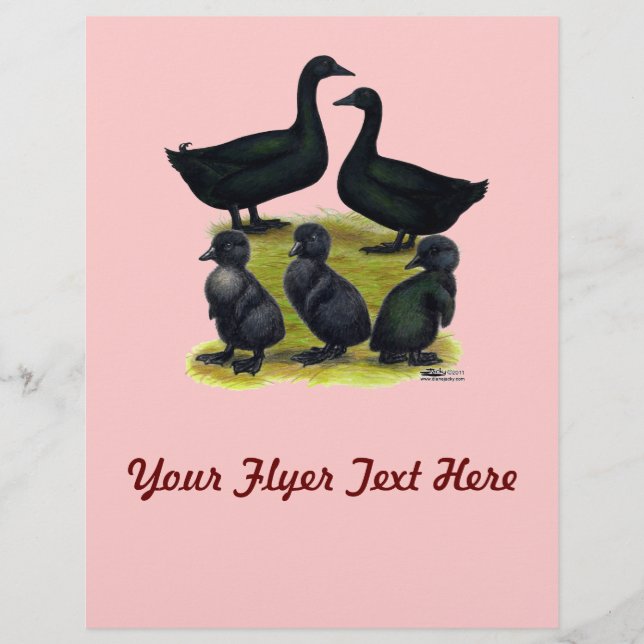 Flyer Familia Cayuga Duck (Frente)