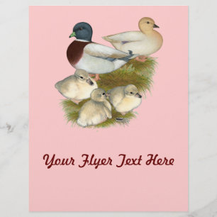 Flyer Familia de patos call pastel