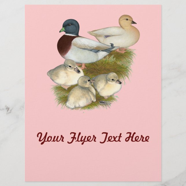 Flyer Familia de patos call pastel (Frente)