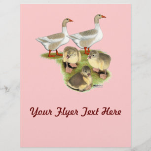 Flyer Familia Pomerania