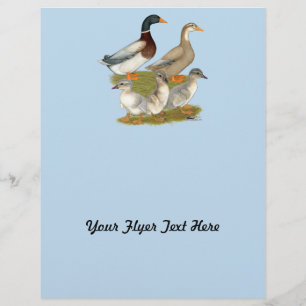 Flyer Familia Sajonia Duck