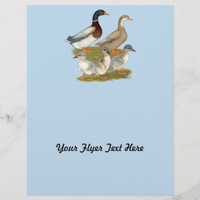 Flyer Familia Sajonia Duck (Frente)