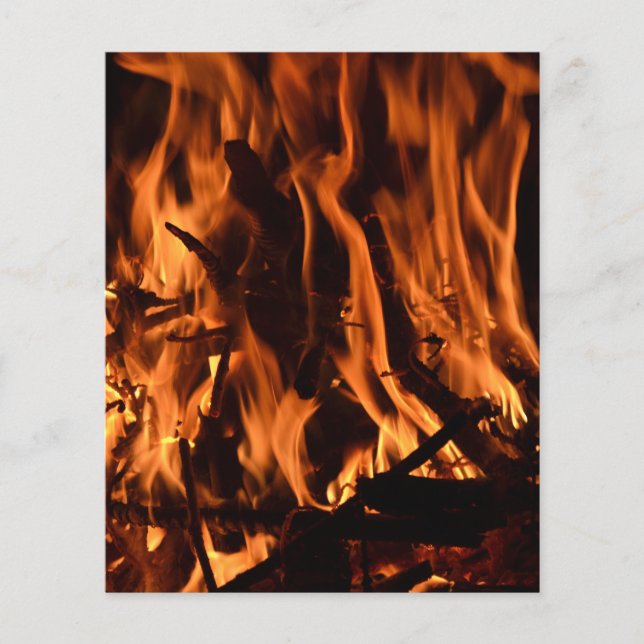 Flyer fire-432478 naranja de la naturaleza forestal de l (Frente)