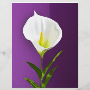 Flyer Flor de Cala Lily