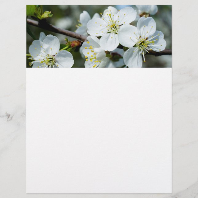 Flyer Flor de cerezo (Frente)