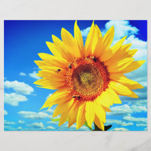 Flyer Flor de girasol amarillo