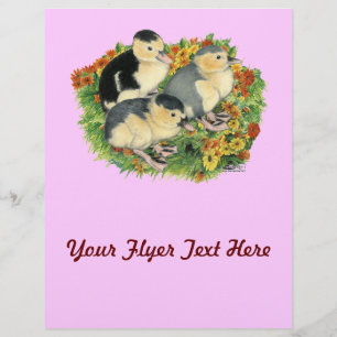 Flyer Flor Jardín Ducklings