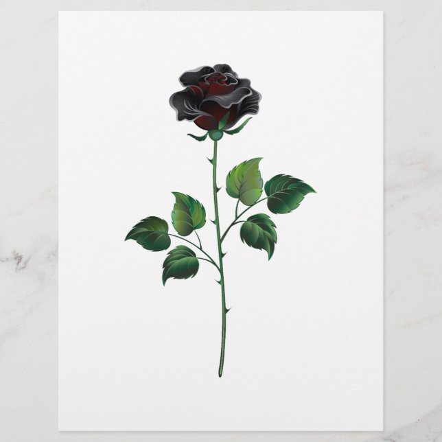 Flyer Flor rosa negra (Frente)
