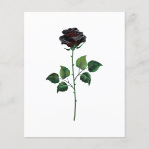 Flyer Flor rosa negra