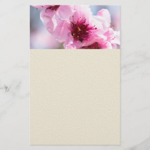 Flyer Florecimiento de la primavera