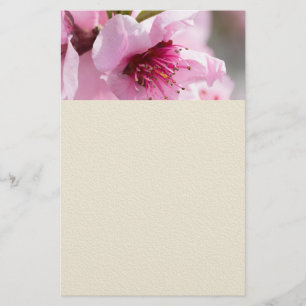 Flyer Florecimiento de la primavera