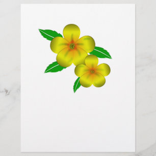 Flyer Flores amarillas de Damiana