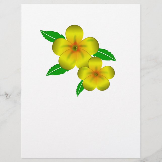 Flyer Flores amarillas de Damiana (Frente)