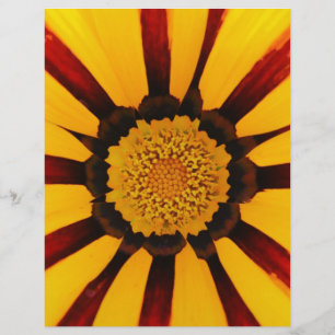 Flyer Foto botánica de flor de tesoro radiante