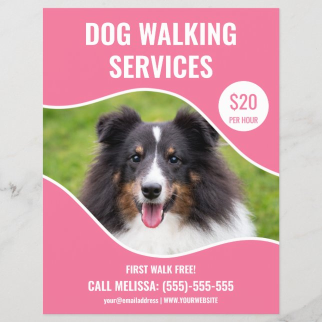 Flyer Foto de Shetland Sheepdog - Servicio de paseo de p (Frente)