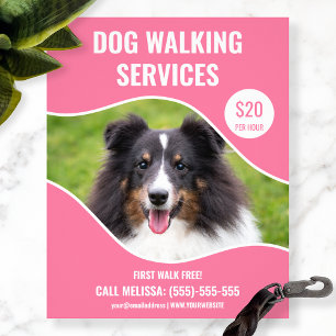 Flyer Foto de Shetland Sheepdog - Servicio de paseo de p