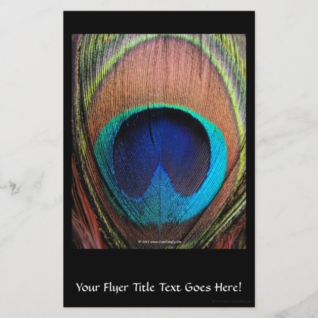 Flyer Fotografía de la película de pavo real macroeconóm (Frente)