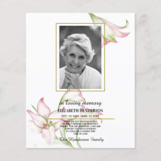 Flyer Fotografía De La Solidaridad Con El Presupuesto De