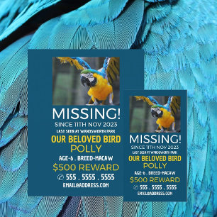 Flyer Fotografía personalizada, desaparecido, Mascota pe