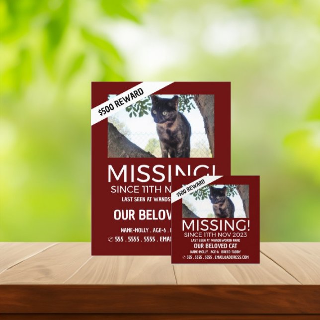 Flyer Fotografía personalizada, desaparecido, Mascota pe (Subido por el creador)