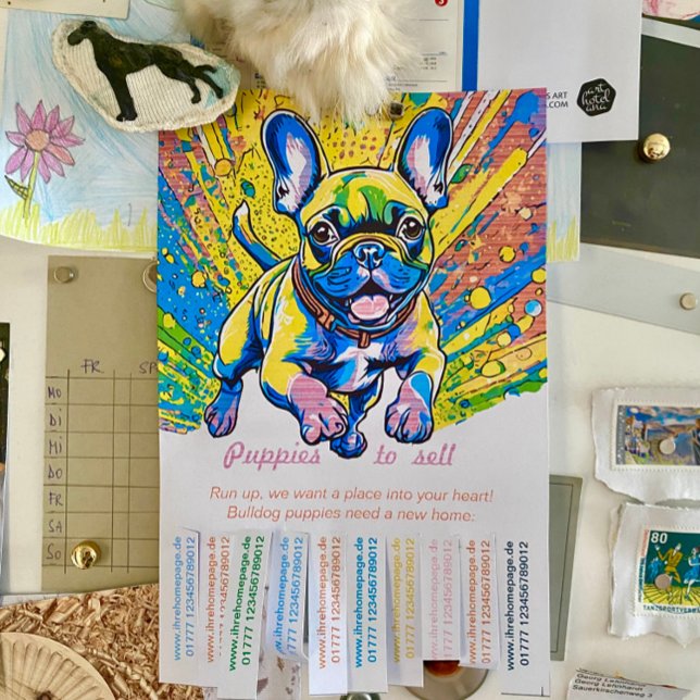 Flyer Französische Bulldoggen Welpen zu verkaufen (Subido por el creador)